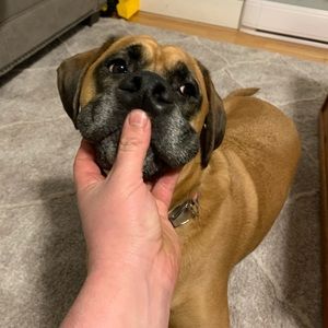 Meet your Posher, Duncan